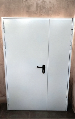 Полуторная огнеупорная дверь Полуторная огнеупорная дверь